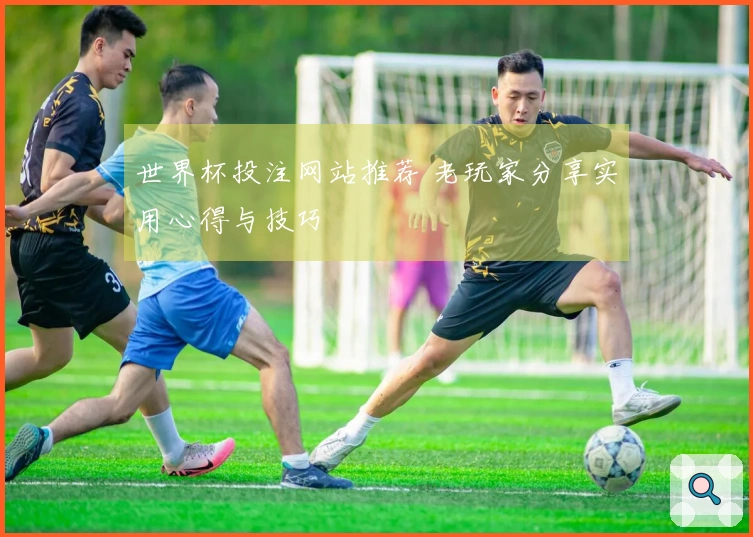 世界杯投注网站推荐 老玩家分享实用心得与技巧