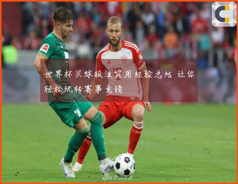 世界杯买球投注实用经验总结 让你轻松玩转赛事竞猜