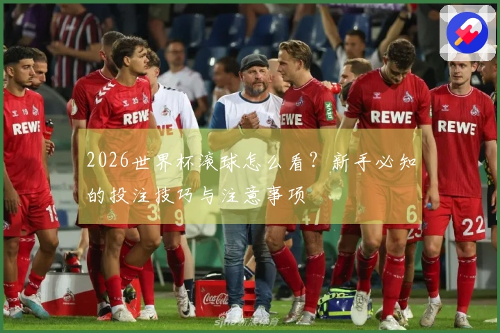 2026世界杯滚球怎么看?新手必知的投注技巧与注意事项