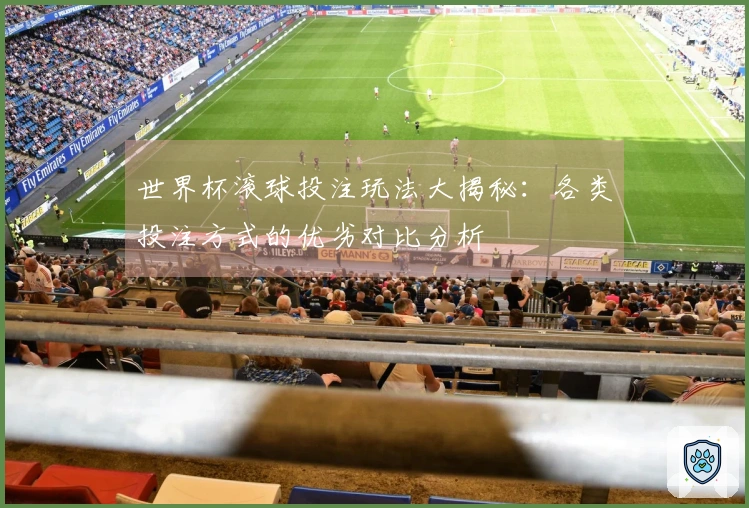 世界杯滚球投注玩法大揭秘：各类投注方式的优劣对比分析