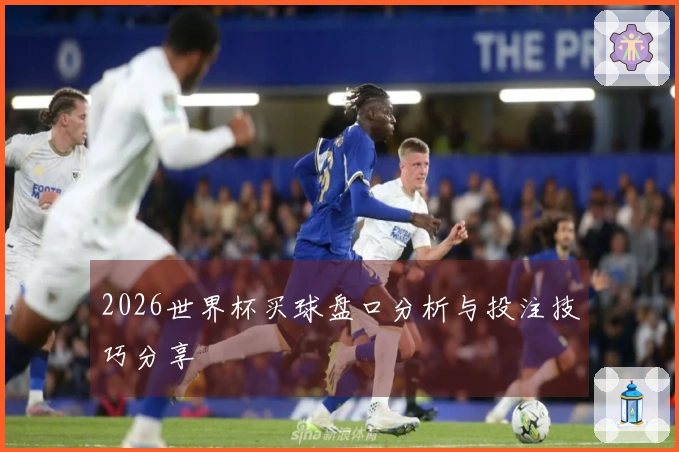 2026世界杯买球盘口分析与投注技巧分享
