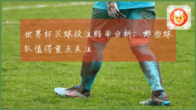 世界杯买球投注赔率分析：哪些球队值得重点关注