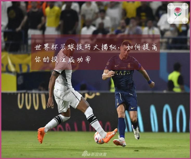 世界杯买球技巧大揭秘，如何提高你的投注成功率