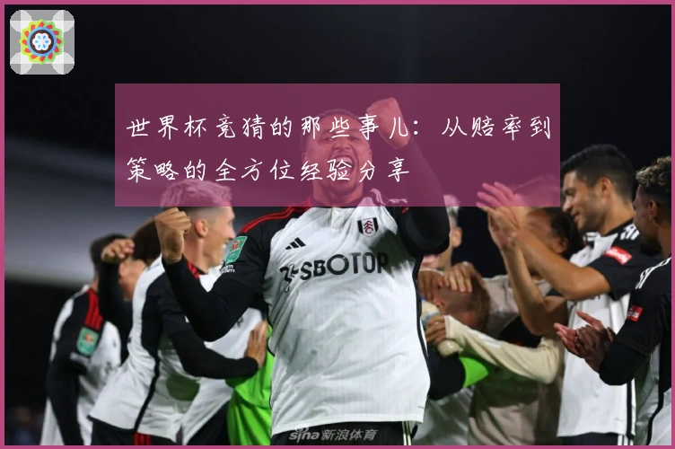 世界杯竞猜的那些事儿：从赔率到策略的全方位经验分享