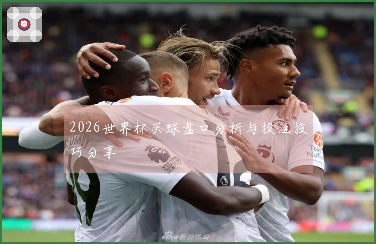 2026世界杯买球盘口分析与投注技巧分享