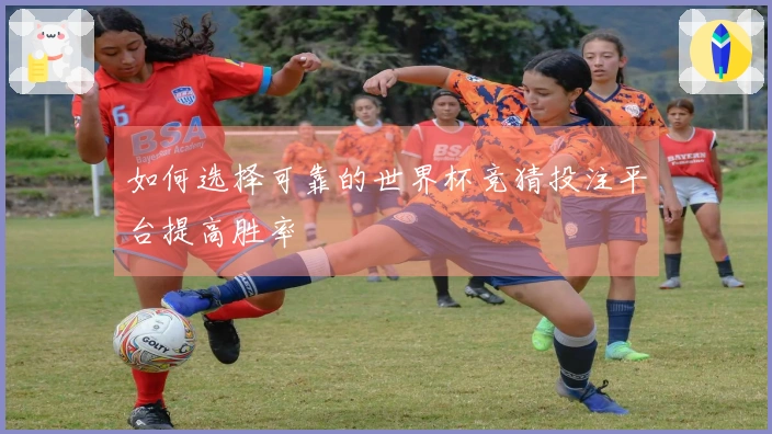 如何选择可靠的世界杯竞猜投注平台提高胜率