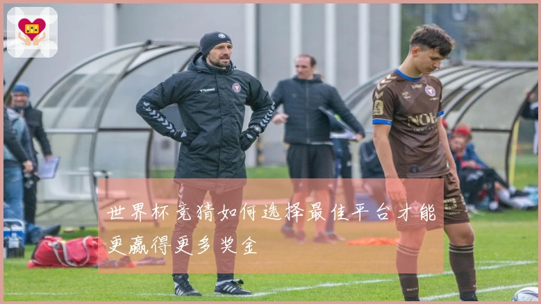 世界杯竞猜如何选择最佳平台才能更赢得更多奖金