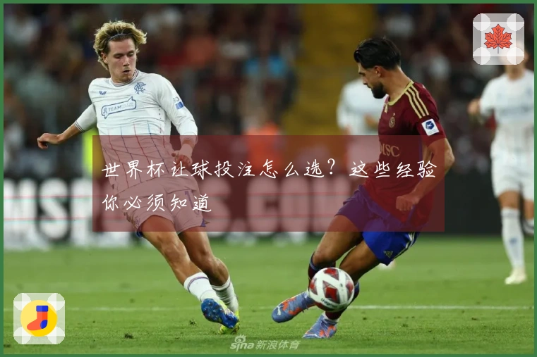 世界杯让球投注怎么选？这些经验你必须知道