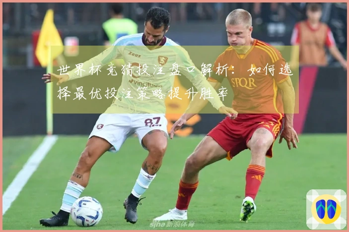 世界杯竞猜投注盘口解析：如何选择最优投注策略提升胜率