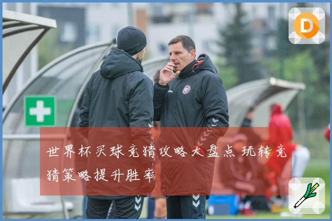 世界杯买球竞猜攻略大盘点 玩转竞猜策略提升胜率