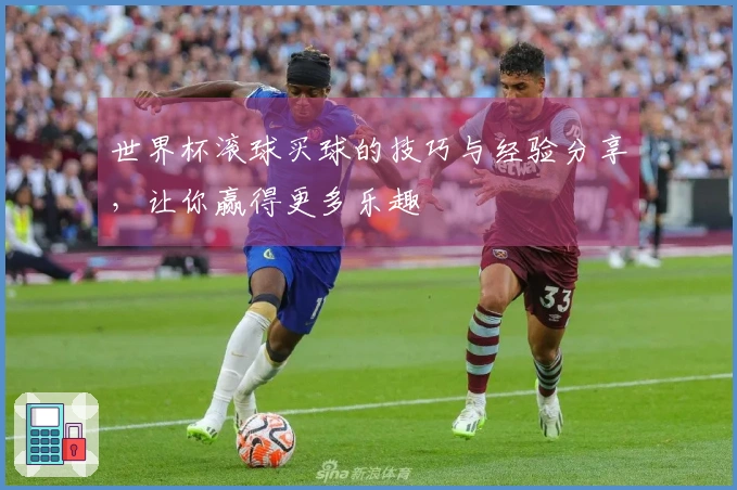 世界杯滚球买球的技巧与经验分享，让你赢得更多乐趣