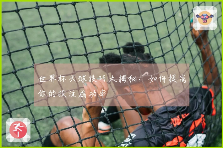 世界杯买球技巧大揭秘,如何提高你的投注成功率
