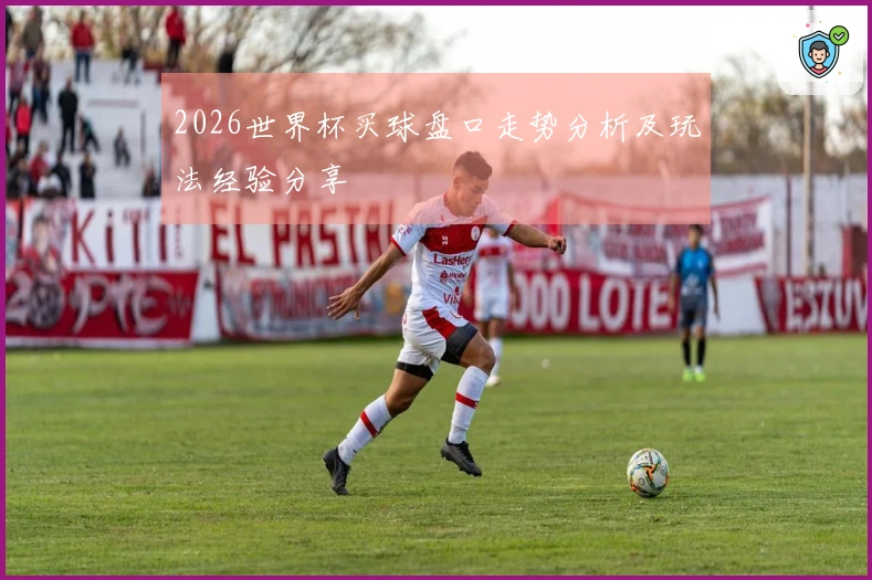 2026世界杯买球盘口走势分析及玩法经验分享