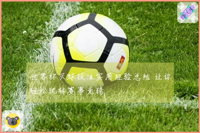 世界杯买球投注实用经验总结 让你轻松玩转赛事竞猜